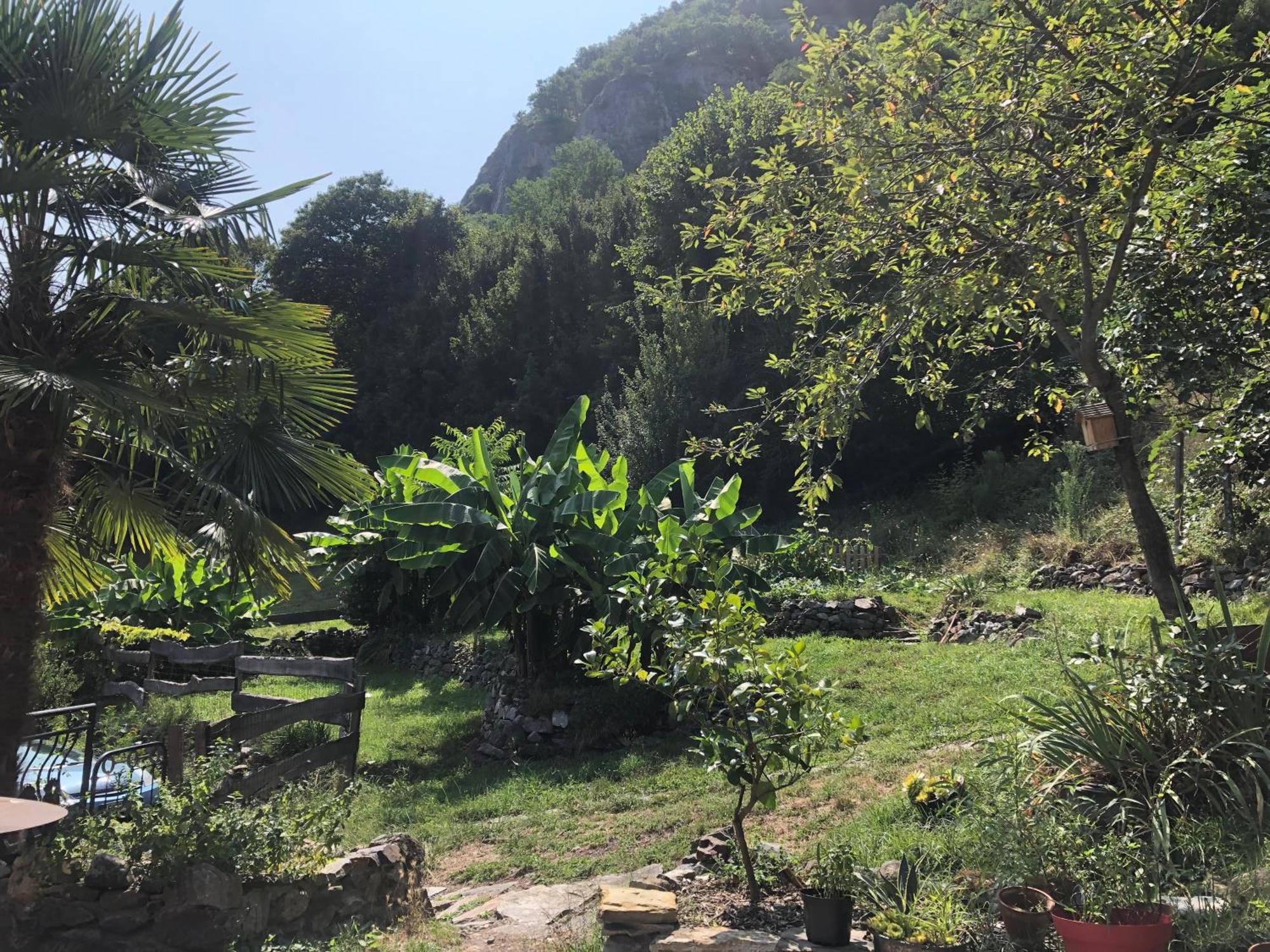 La Auarje: Appartement Avec Jardin & Terrasse Cierp Luaran gambar